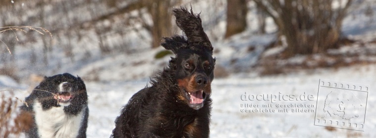 Winterfreuden © docupics.de